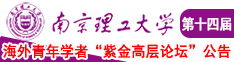 操屄女孩南京理工大学第十四届海外青年学者紫金论坛诚邀海内外英才！